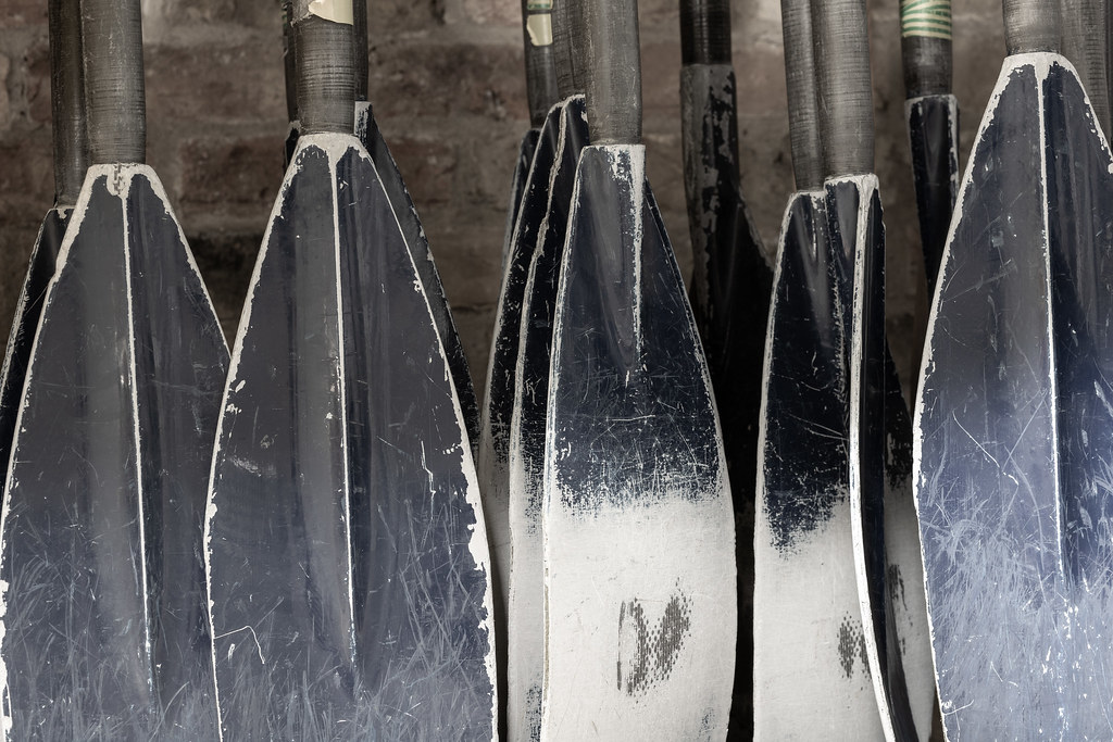 Colony of Blades A group of rowing blades, or oars, huddle… Flickr