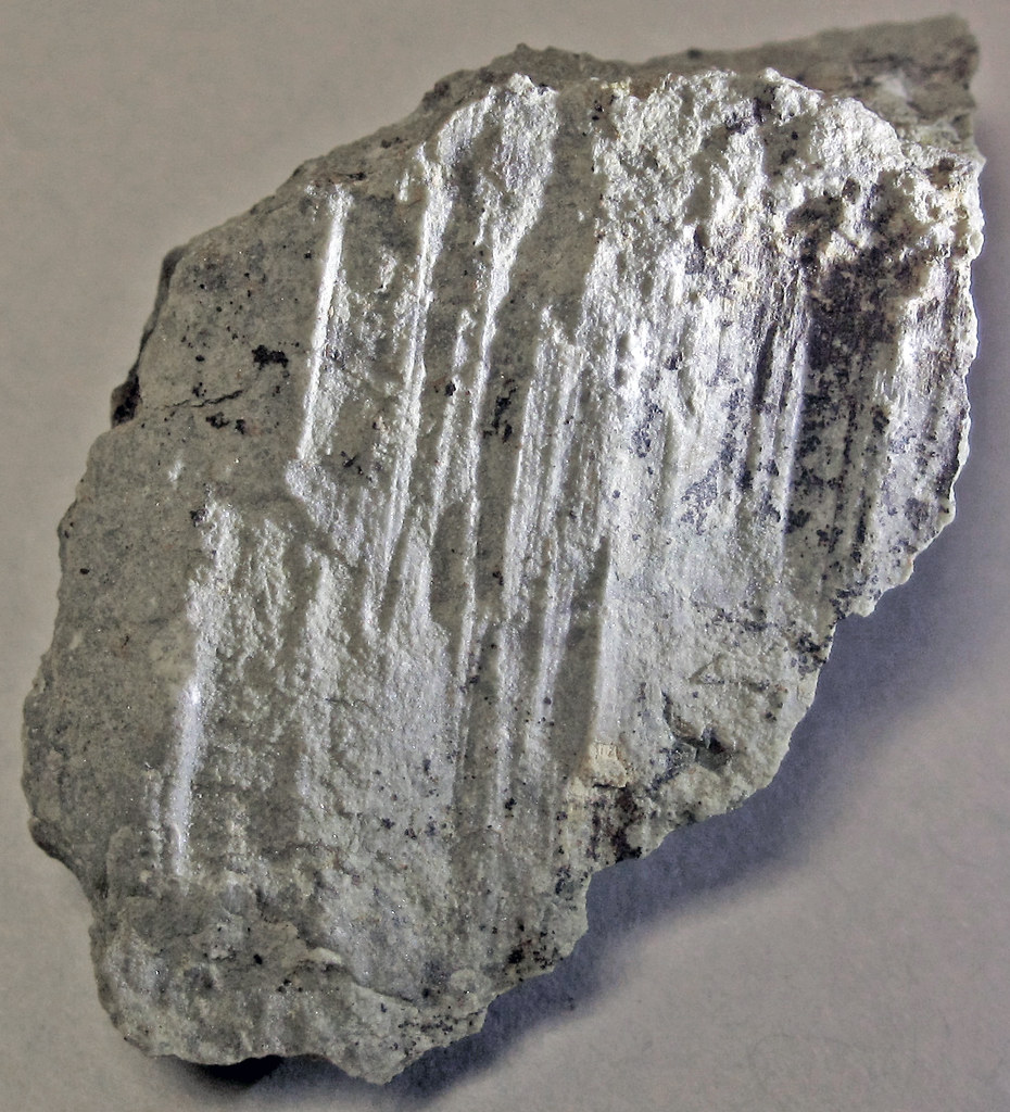 Slickenlined argillaceous limestone (Maxville Limestone, Mississippian