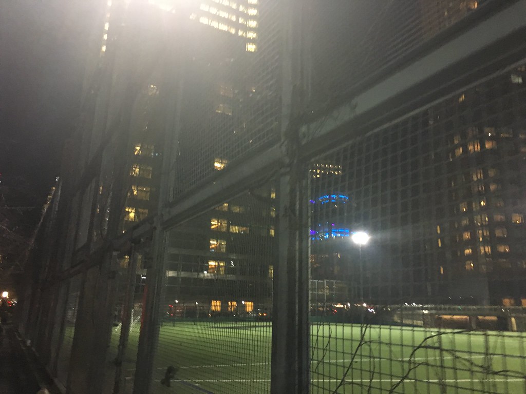 The Field The Battery Park City Ball Fields, juxtaposed wi… Flickr
