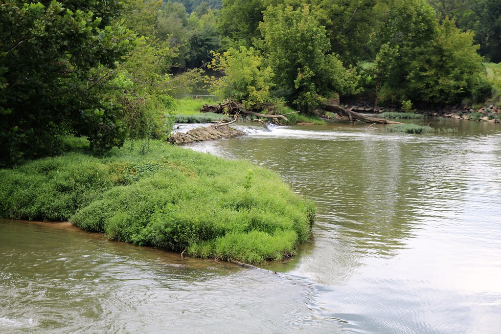 IMG_0561 Lyerly, Ga 8/2018 joyannmadd Flickr