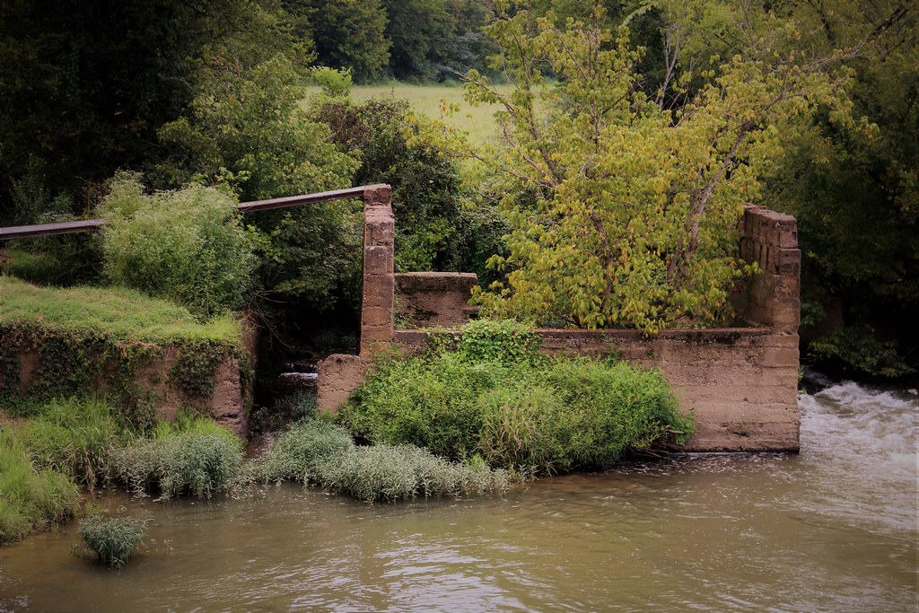 IMG_0562 Lyerly, Ga 8/2018 joyannmadd Flickr