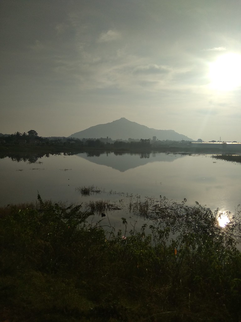 Narsapura, Hoskote Kolar Highway. Morning of 21st Octobe… Flickr