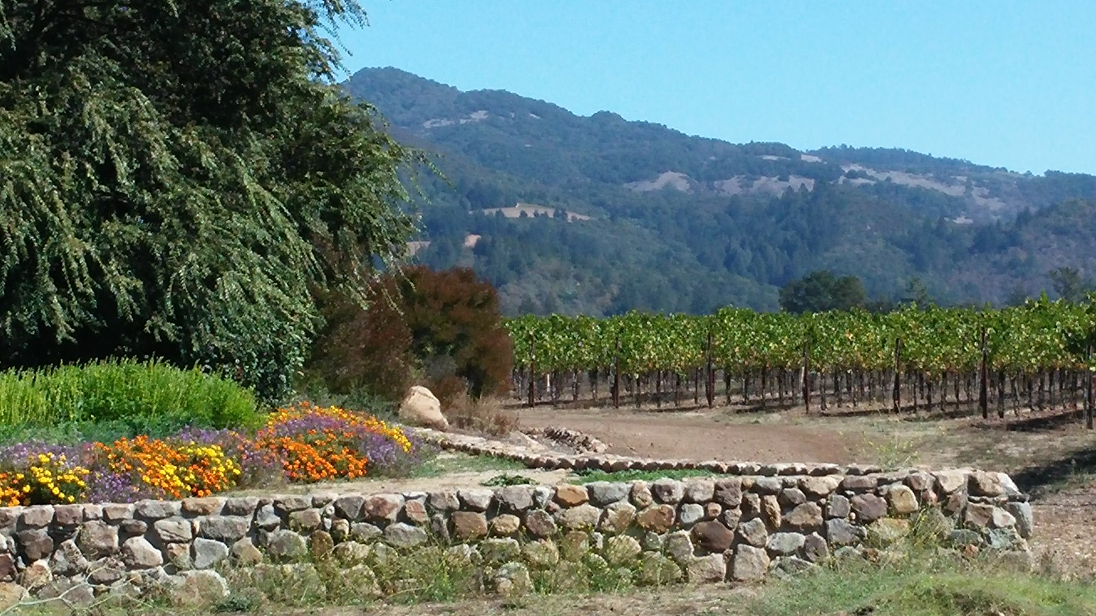 SONOMA & NAPA COUNTIES, CALIFORNIA SEPTEMBER 28 OCTOBER 1, 2014