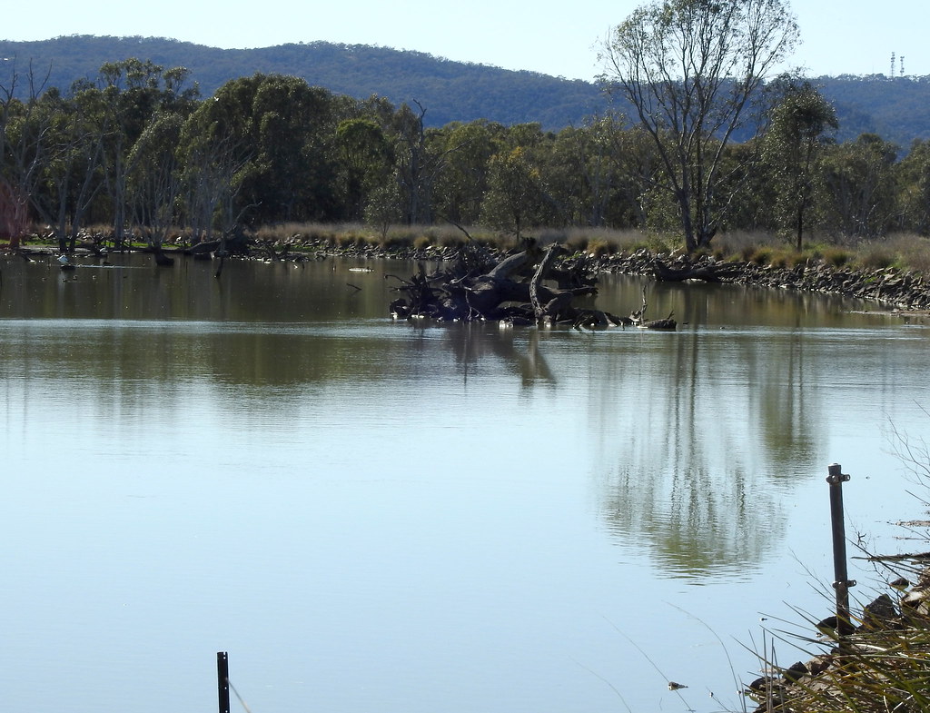 Duck Pond at Winton Wetlands set of 8 Duck Pond at Winto… Flickr