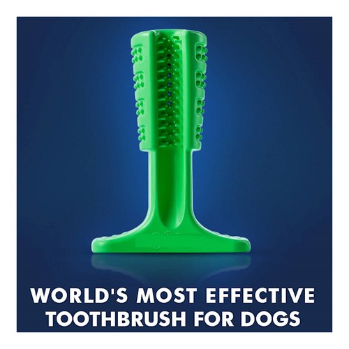 184113_dog toothbrushing pets dog toothbrush 360 toothbrus… Flickr