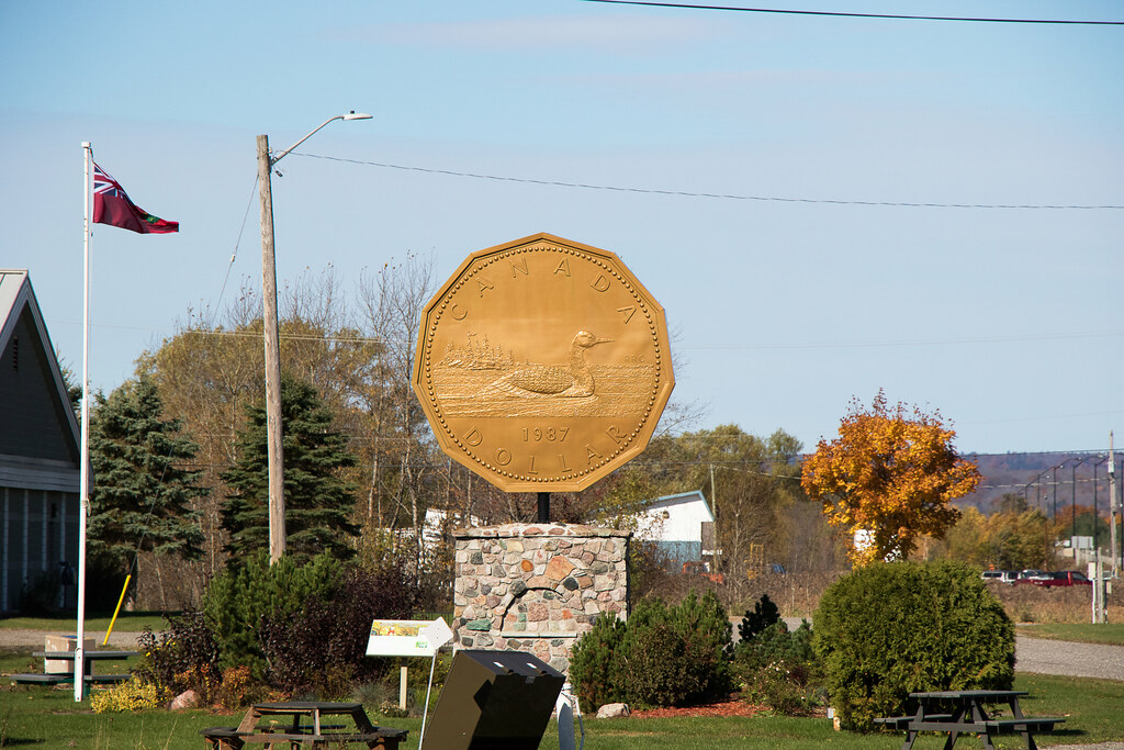 Loonie This is the Canadian 1 coin. It was affectionately… Flickr