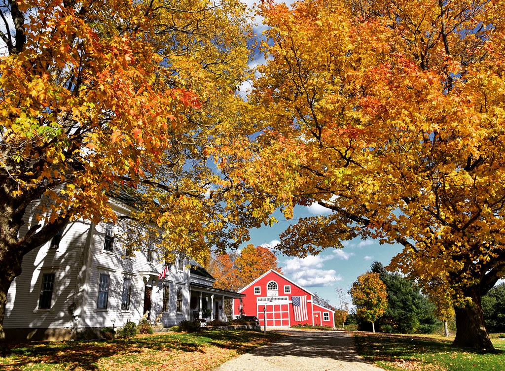 Fall at the farm Maple Top Farm, Kennebunk Bob Dennis Flickr