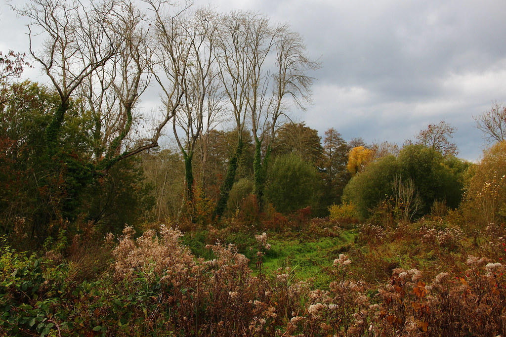 Hampshire Woodland Autumn Colours This woodland scene near… Flickr