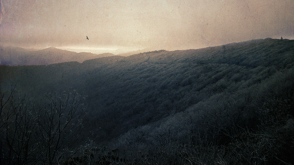 Elevation of Paint Fork Road, Paint Fork Rd, Barnardsville, NC, USA