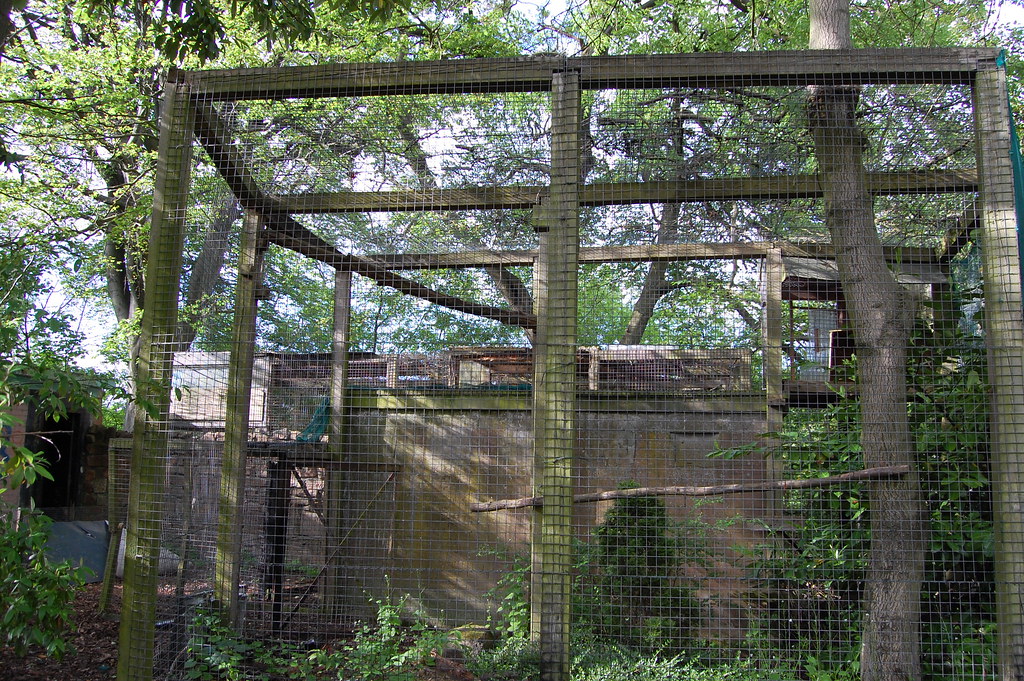 Glasgow Zoo Birds area Stevie Douglas Flickr