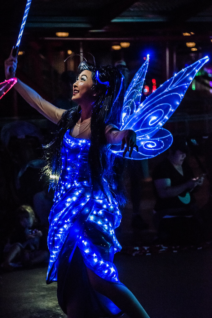 Paint the Night DCA _DSC1003 Landis Flickr