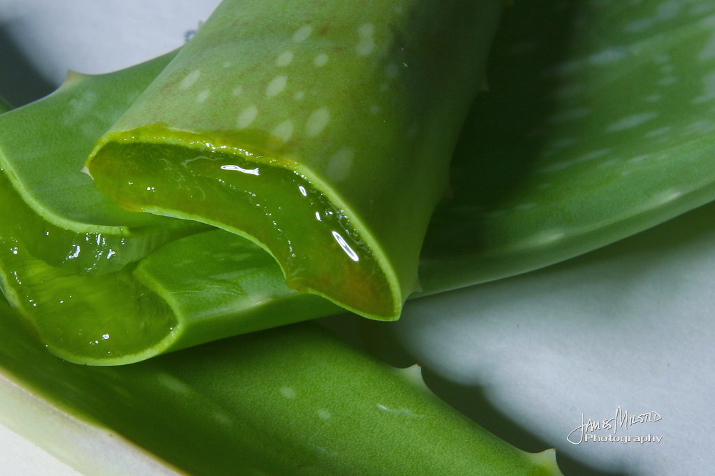 15 Amazing Benefits of Aloe Vera that will blow your mind Anybody Can