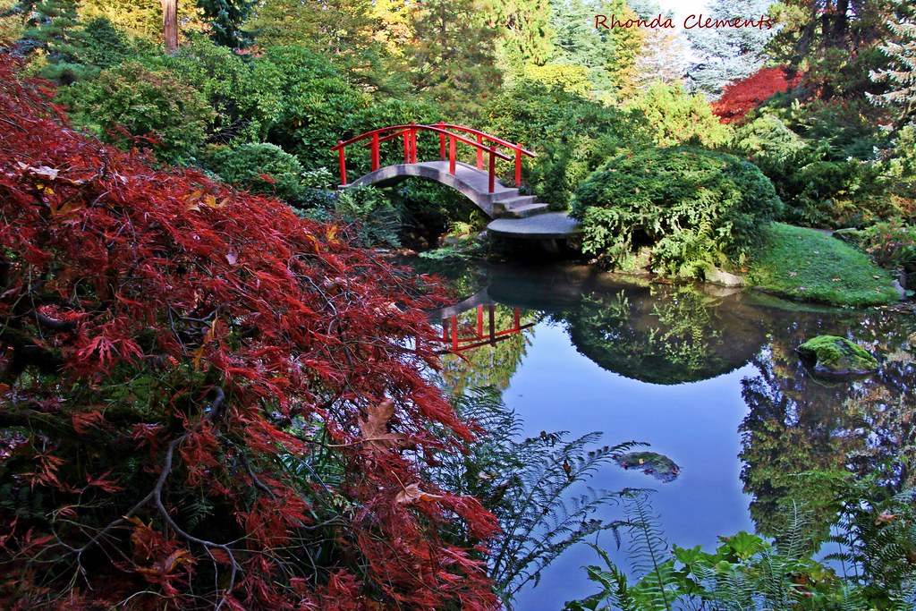 IMG_7145e Kubota Japanese Garden Renton WA Rhonda Clements Flickr