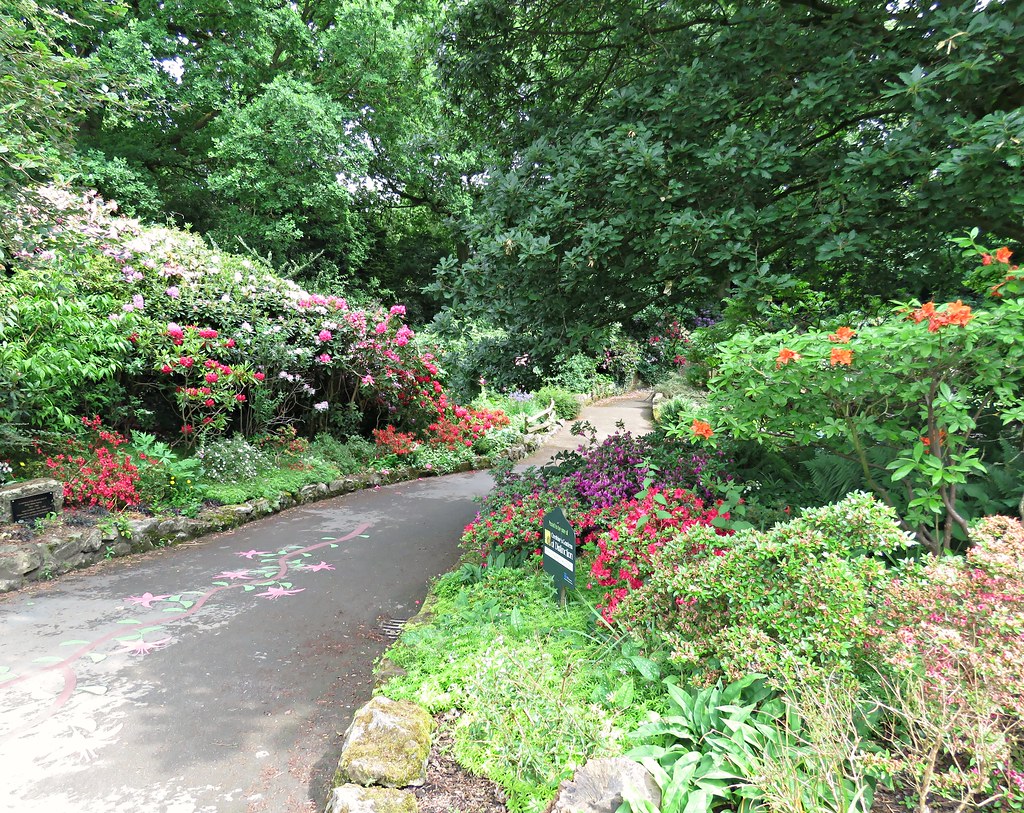 Zoo Gardens! Gardens at Chester zoo. Kim Reubins Flickr