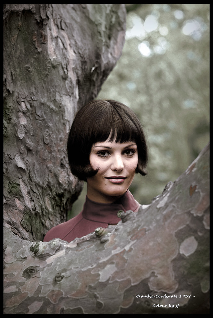 Claudia Cardinale oneredsf1 Flickr