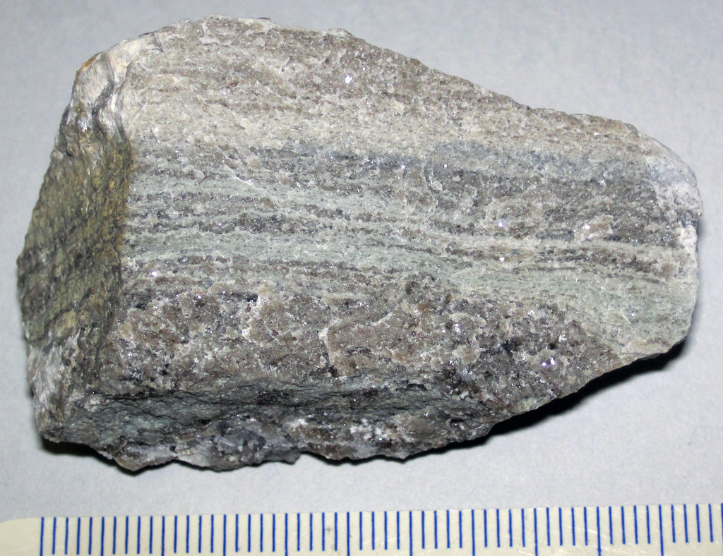 Laminated argillaceous limestone (Maxville Limestone, Miss… Flickr