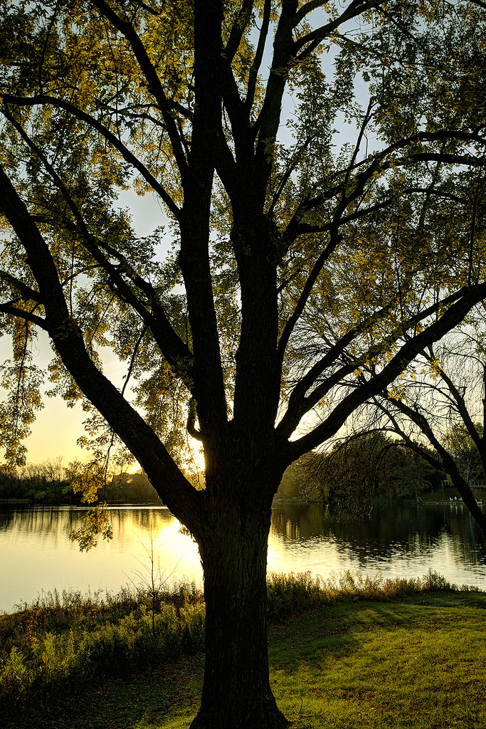Elevation of Mahtomedi, MN, USA Topographic Map Altitude Map