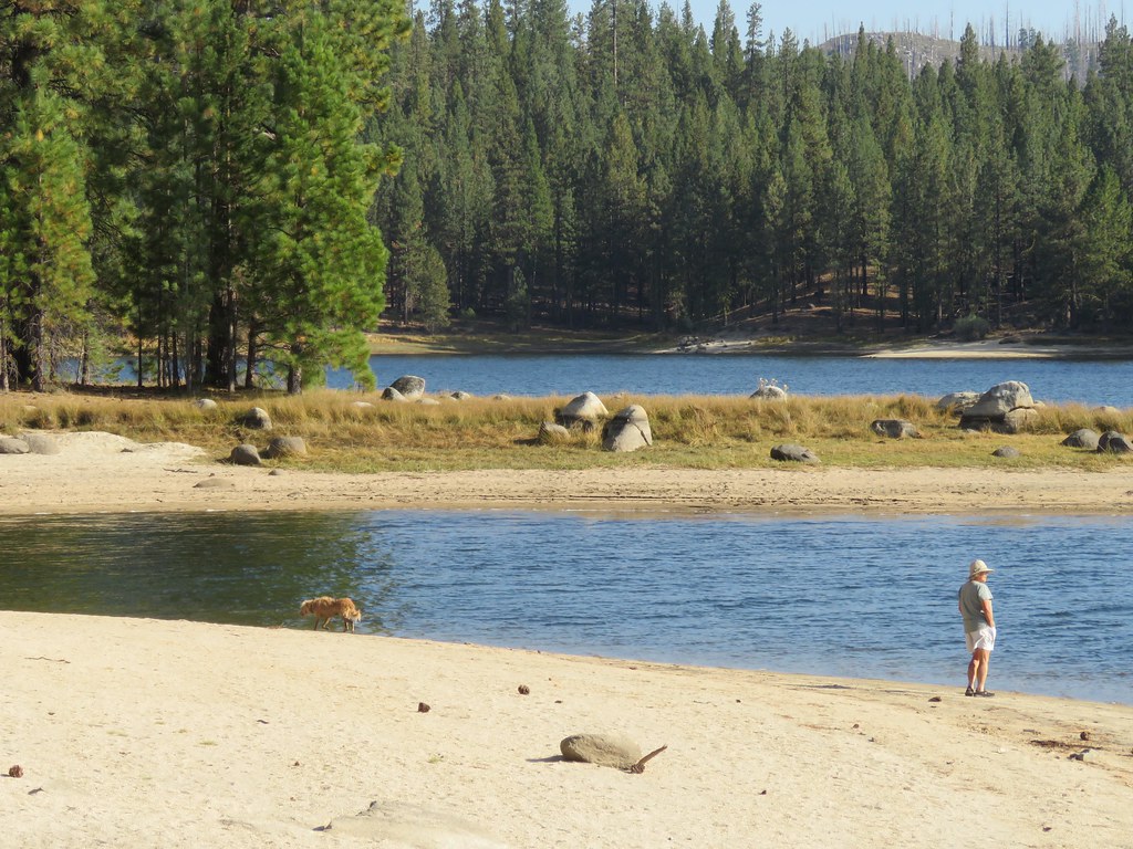 Antelope Lake Antelope Lake Alan King Flickr