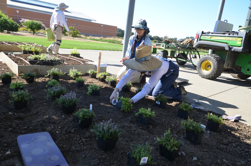 UC Davis Good Life Garden 2.0 UC Davis Good Life Garden 2.… Flickr