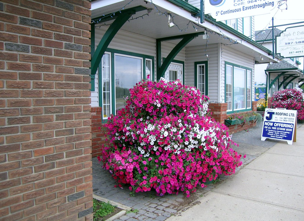 Millet, Alberta Millet, Alberta Janusz Sliwinski Flickr