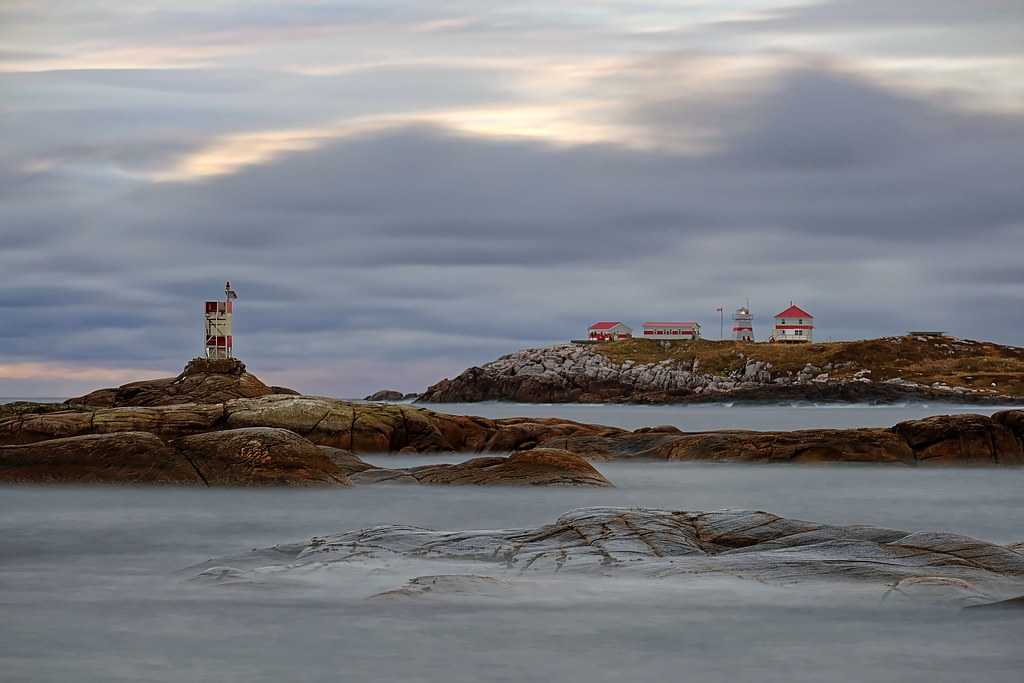 Puffin Island, near Greenspond, NL A view of Puffin Island… Flickr