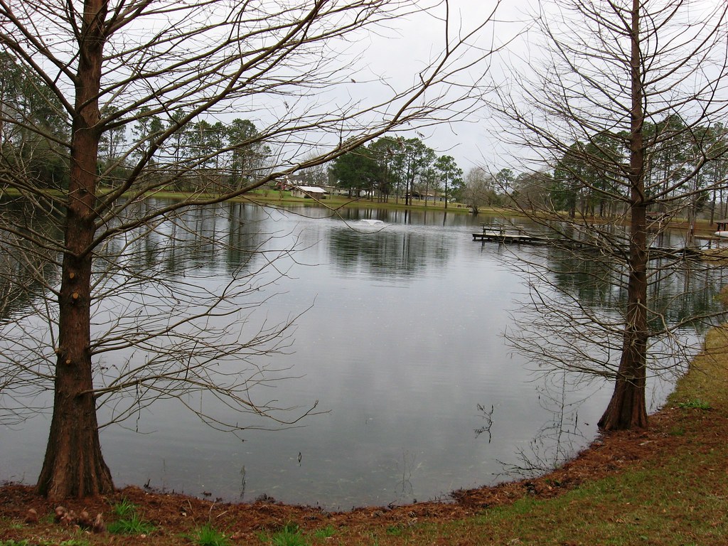 Peaceful Pond Pond at Camp Victory in Samson, Alabama Linda Flickr
