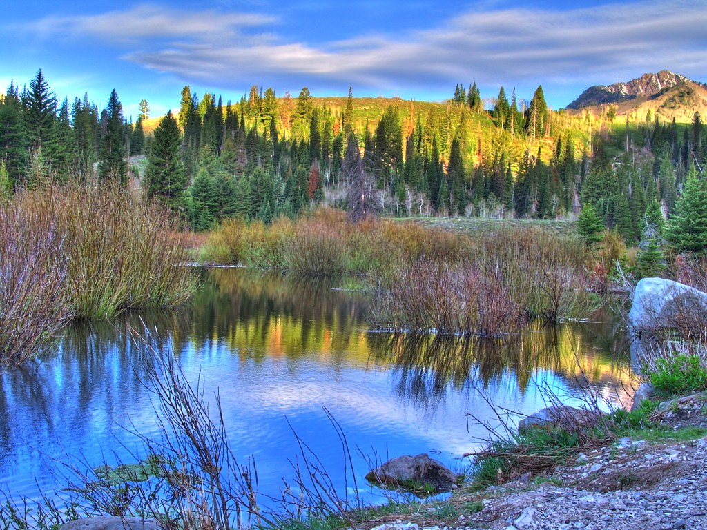 Big Cottonwood Canyon Utah HDR Beaver pond a photo on Flickriver