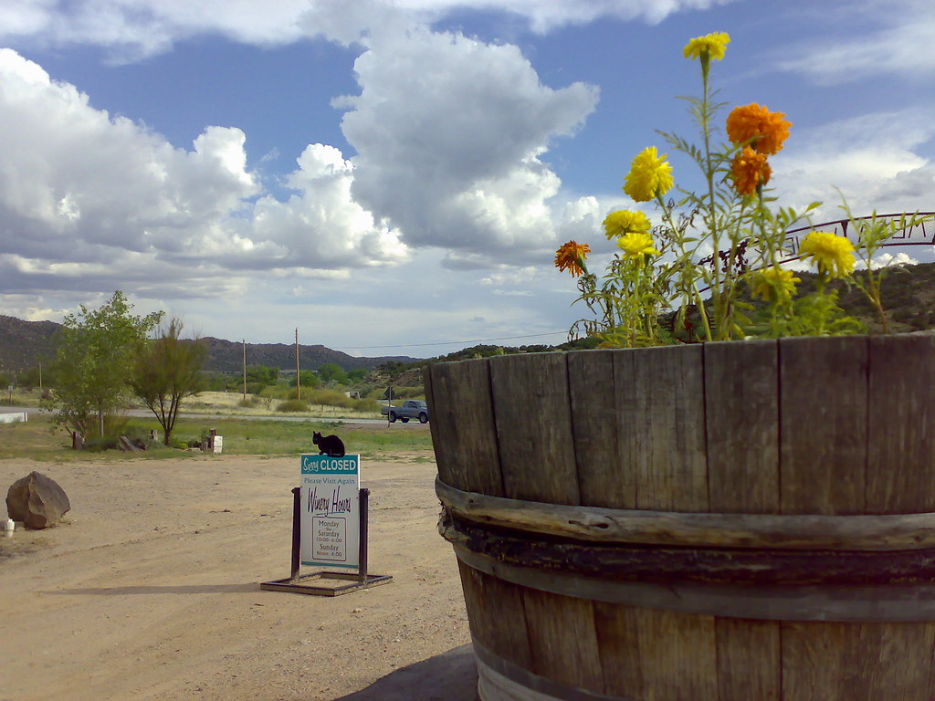 Black Mesa Winery Qooler Wyatt Flickr