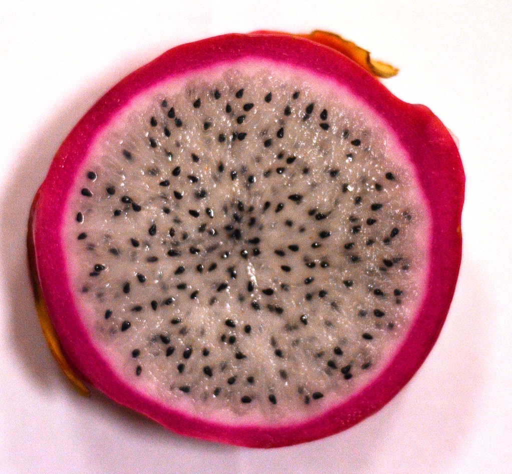 TUNA DE TASAJO Originaria de Chiapas. j. carmen anaya arteaga Flickr