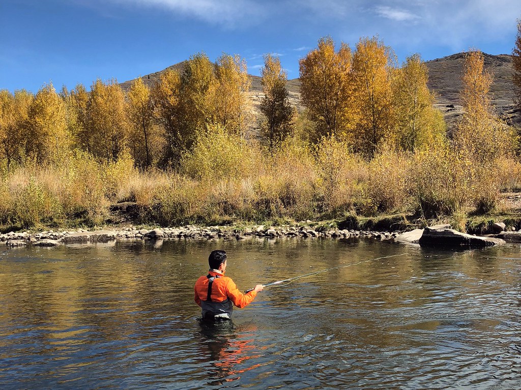 Provo River Provo River, Utah (October 18, 2018) the ulter… Flickr