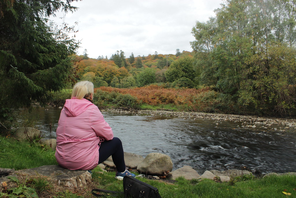 IMG_0098 Gerry Rooney Flickr