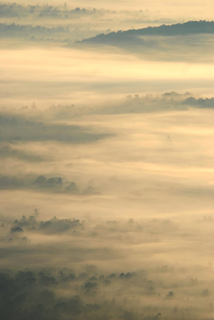 Pink Beds Overlook03 Mark McLane Flickr