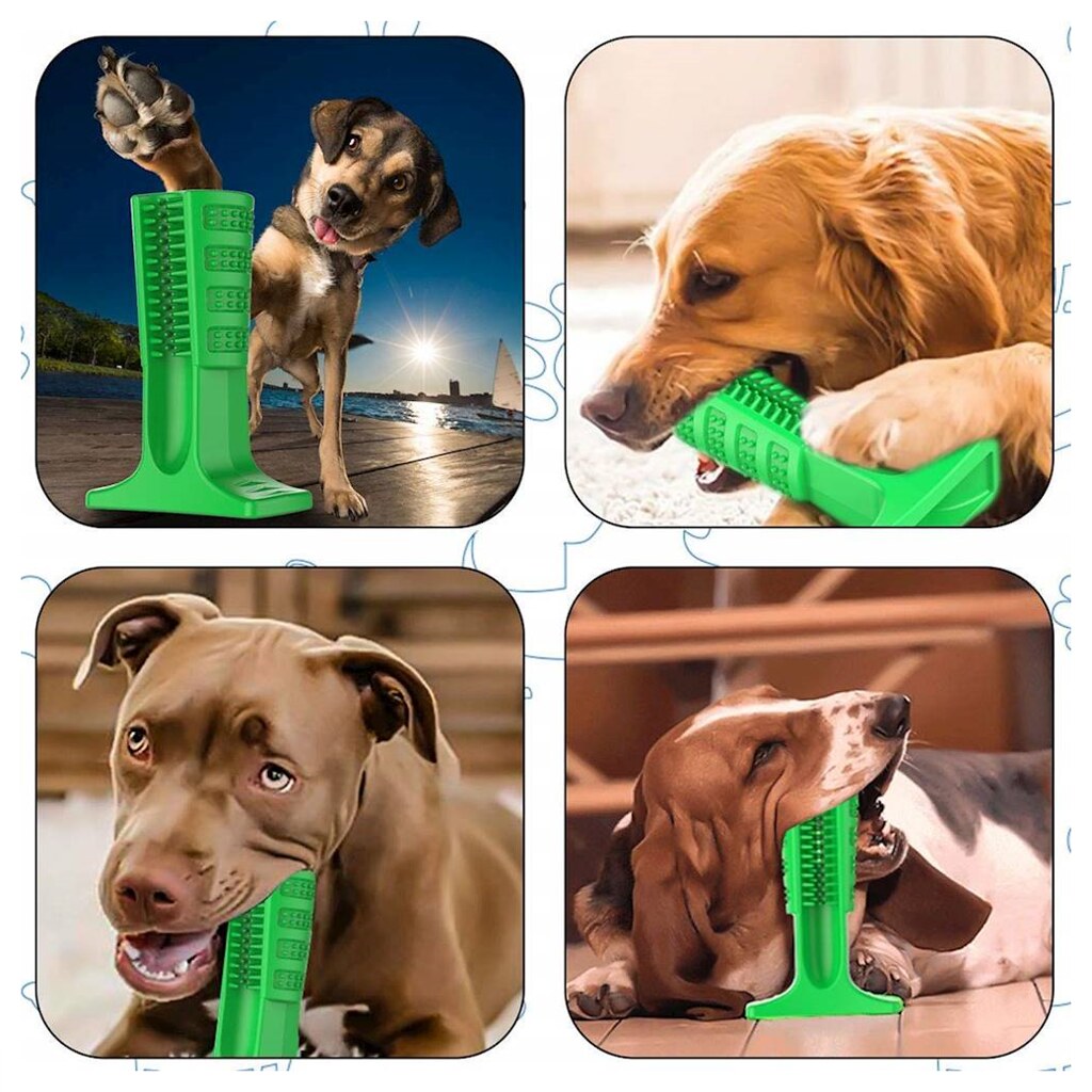 181018184031_small dog toothbrush dog toothbrush holder 3s… Flickr