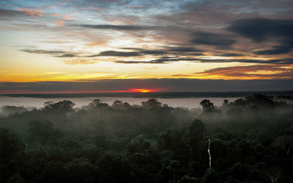 Sunrise in the Amazon Edwin Bellota Flickr