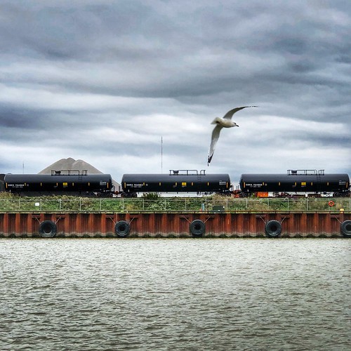 Banks of Maumee River at Toledo, Ohio Seen as part of a to… Flickr