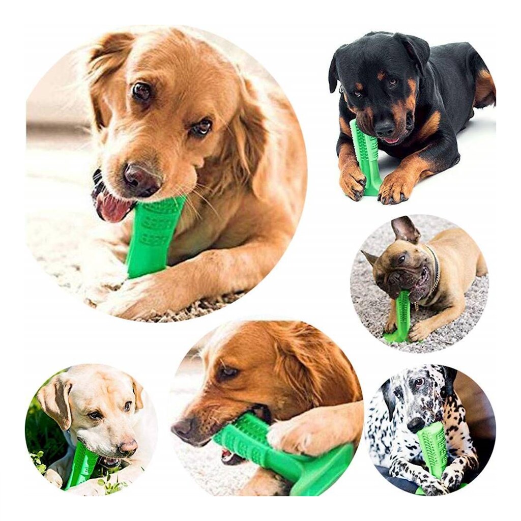 193104_round toothbrush for dogs dog toothbrush red ez dog… Flickr