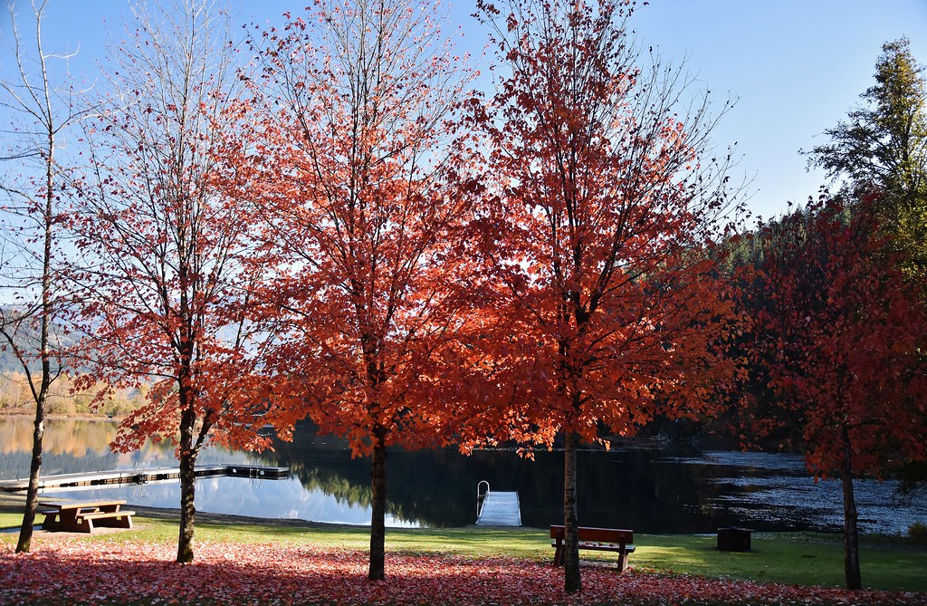 One Mile Lake a photo on Flickriver