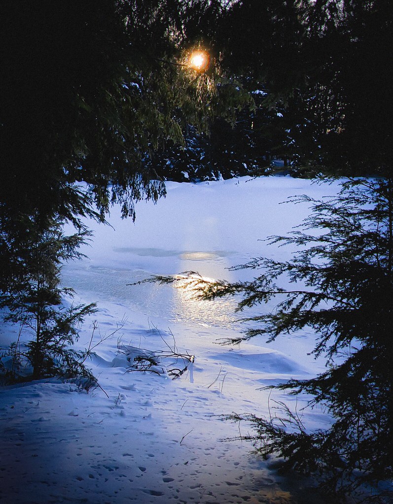 Grab the and let's Gogh Bernhards Bay, New York, 201… Flickr