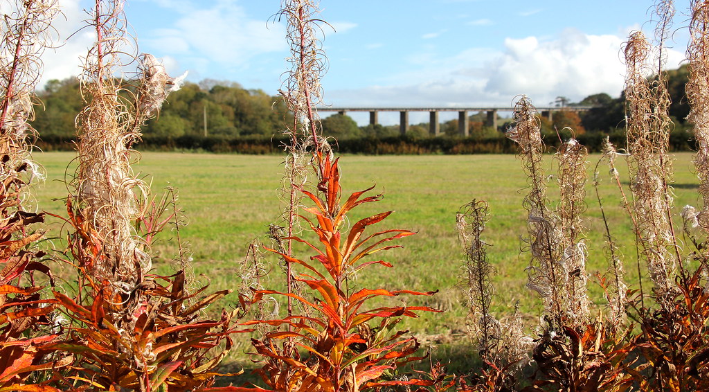Enterkine Viaduct,Annbank,South Ayrshire, Scotland.5/10/18… Flickr