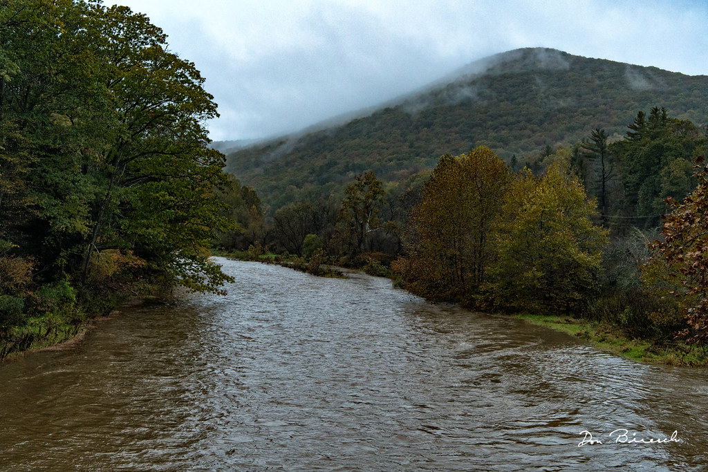Elevation of Gaines Township, PA, USA Topographic Map Altitude Map
