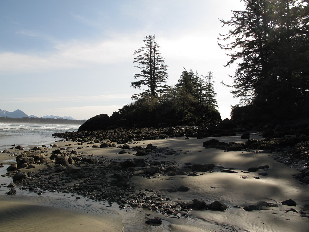 Schooner Cove Trail Pacific Rim National Park Reserve Kelly Michals