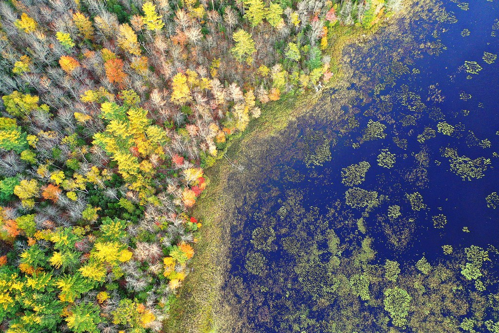 West Searsmont, Maine James Dorso Wildlife Management Area… Flickr
