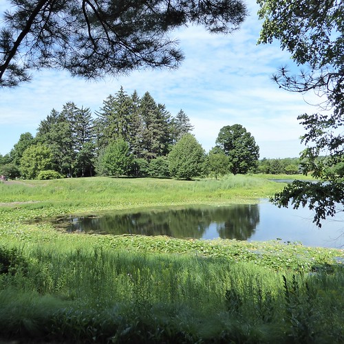 Lisle, IL, Morton Arboretum, Meadow Pond, Landscape Flickr