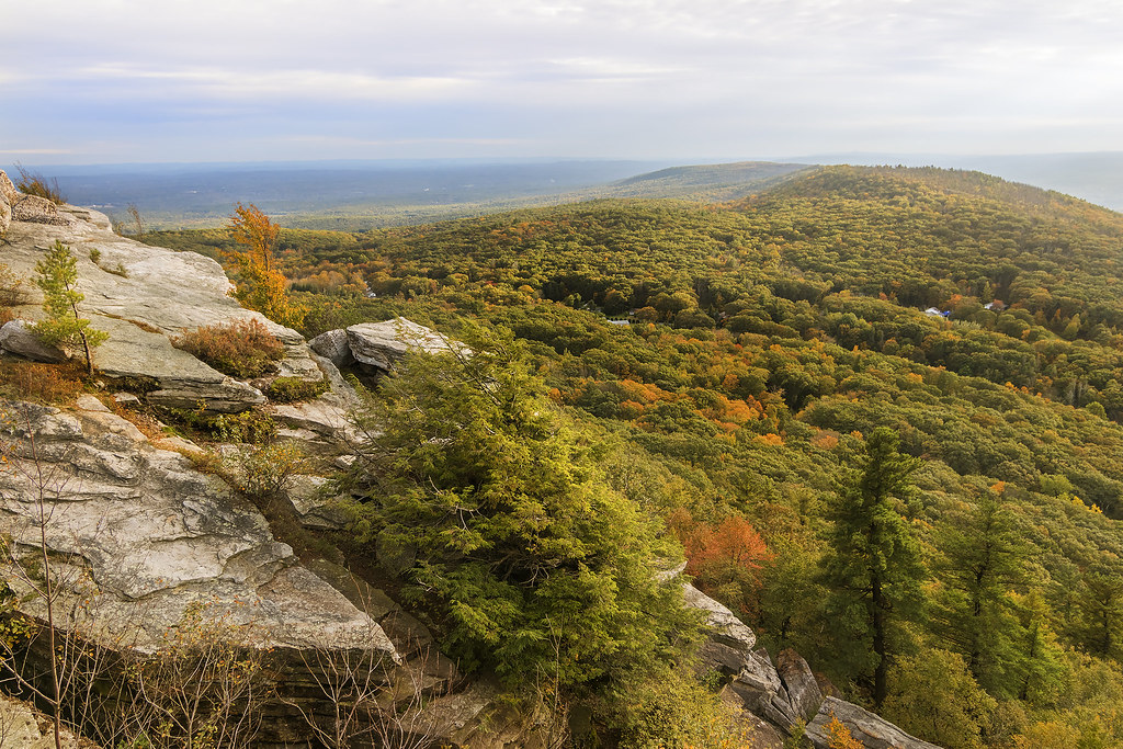 Bear Hill According to the iloveny foliage map, the centra… Flickr