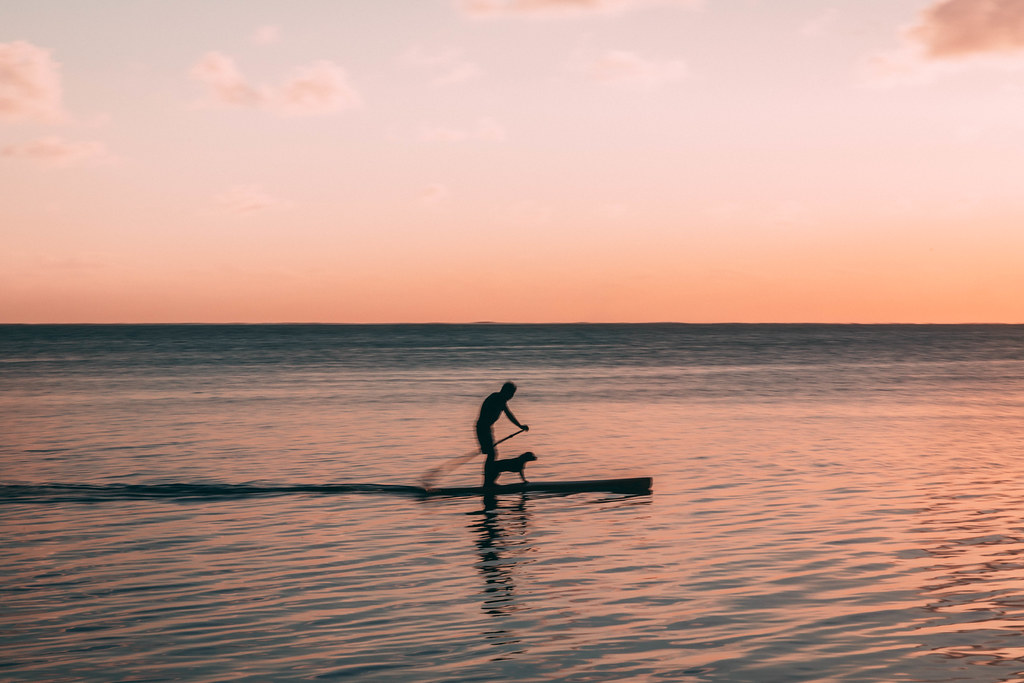 Taking your dog for a walk, Bora Bora Style Chris Hoare Flickr
