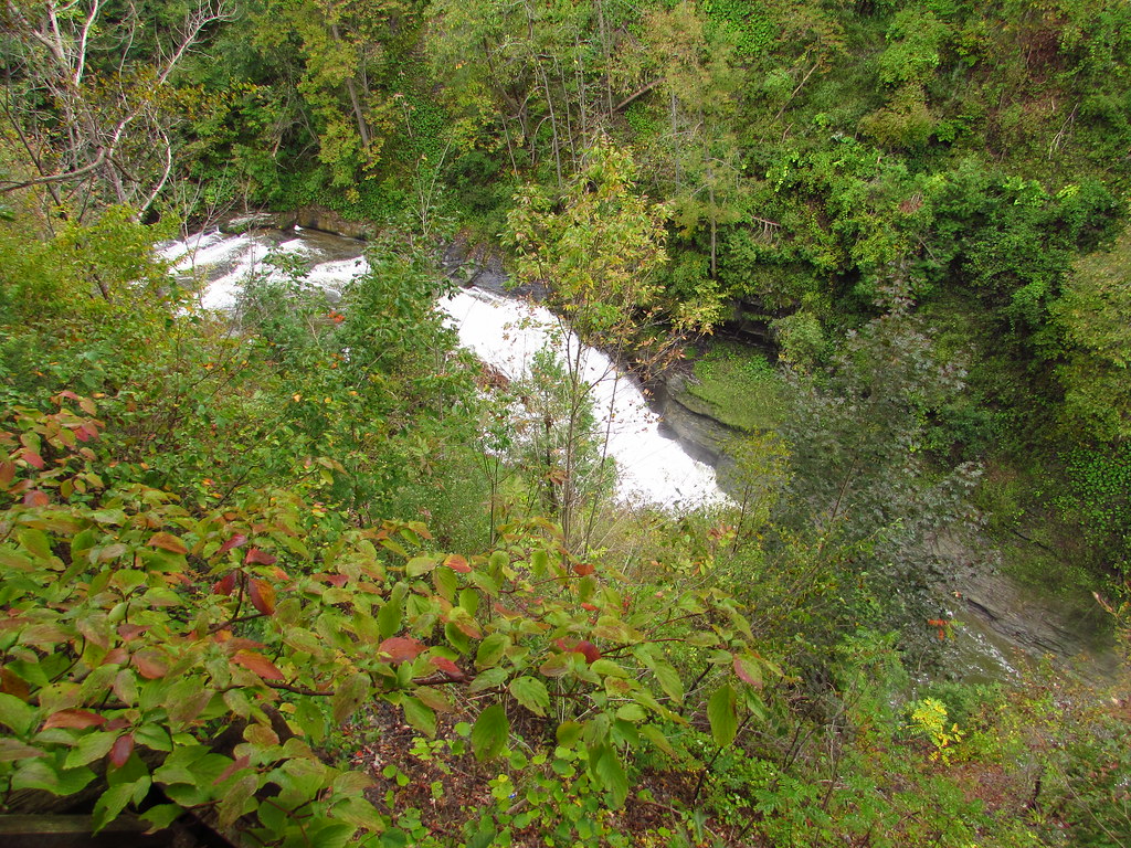 Canajoharie Falls, New York From the Rim Trail at Wi… Flickr