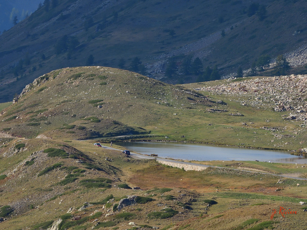 Nikon P1000 600mm jean pierre riviere Flickr