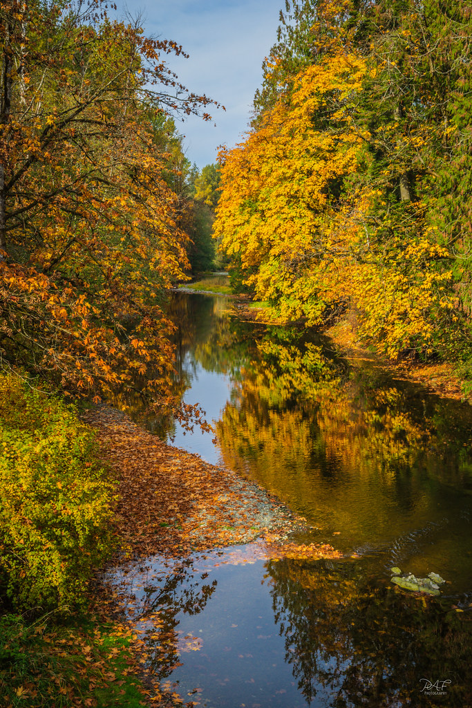 Elevation of Drinkwater Rd, Duncan, BC V9L 5Z1, Canada Topographic