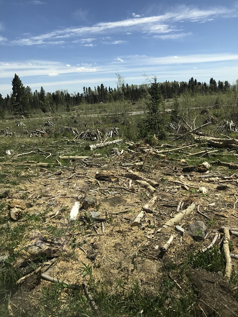 IMG_2427 05/17/18 Canjilon Lakes; Photo Credit US Forest S… Flickr