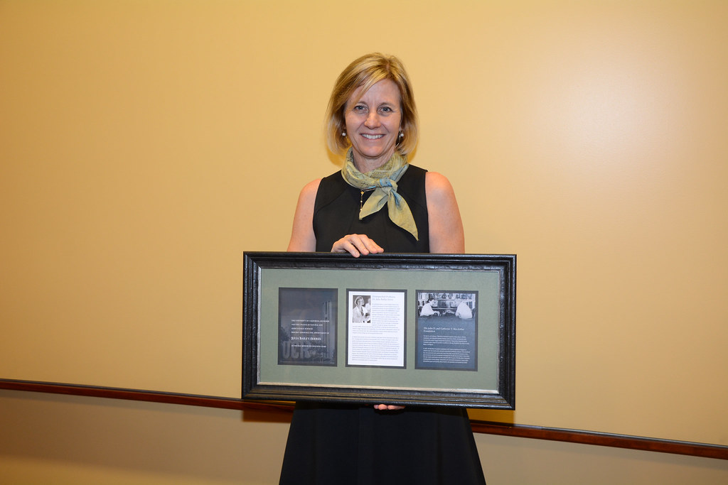 MacArthur Chair Installation with Julia BaileySerres Flickr